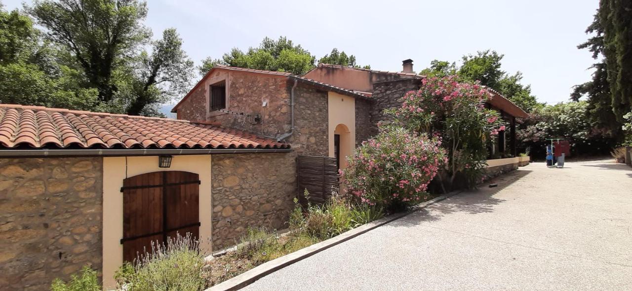 Gite De Charme Dans Mas Catalan Prades  Eksteriør bilde