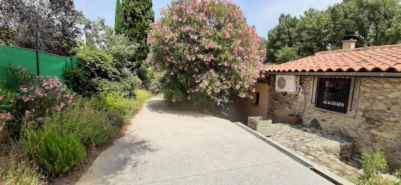 Gite De Charme Dans Mas Catalan Prades  Eksteriør bilde